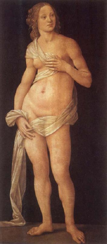 LORENZO DI CREDI Venus France oil painting art